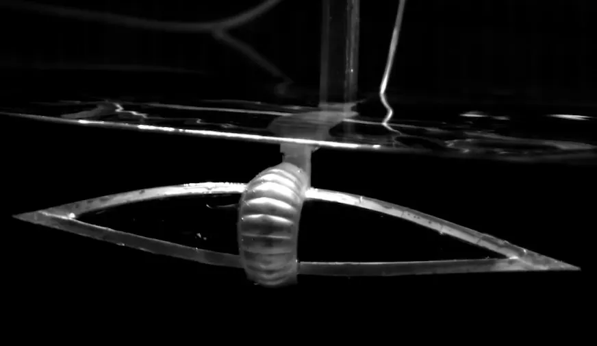 Robot blando inspirado por mantarrayas
