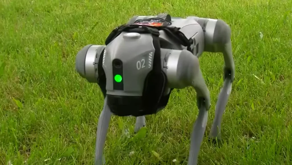 Perro robot de Újpest, Budapest